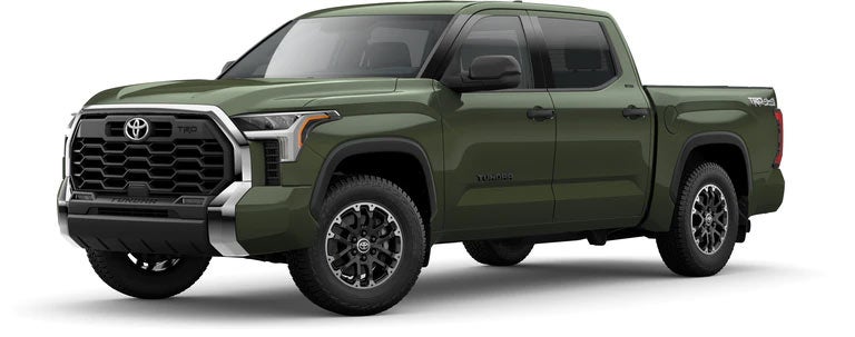 2022 Toyota Tundra SR5 in Army Green | Daytona Toyota in Daytona Beach FL