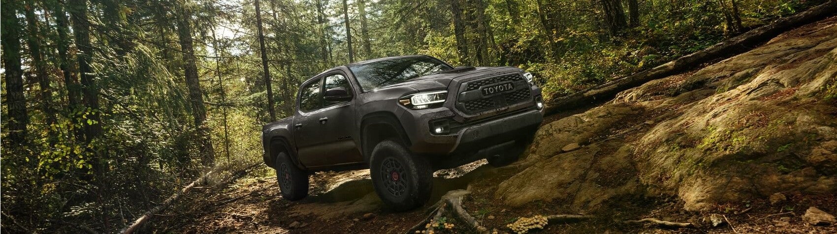 2022 Toyota Tacoma TRD Pro Off Road Snippet