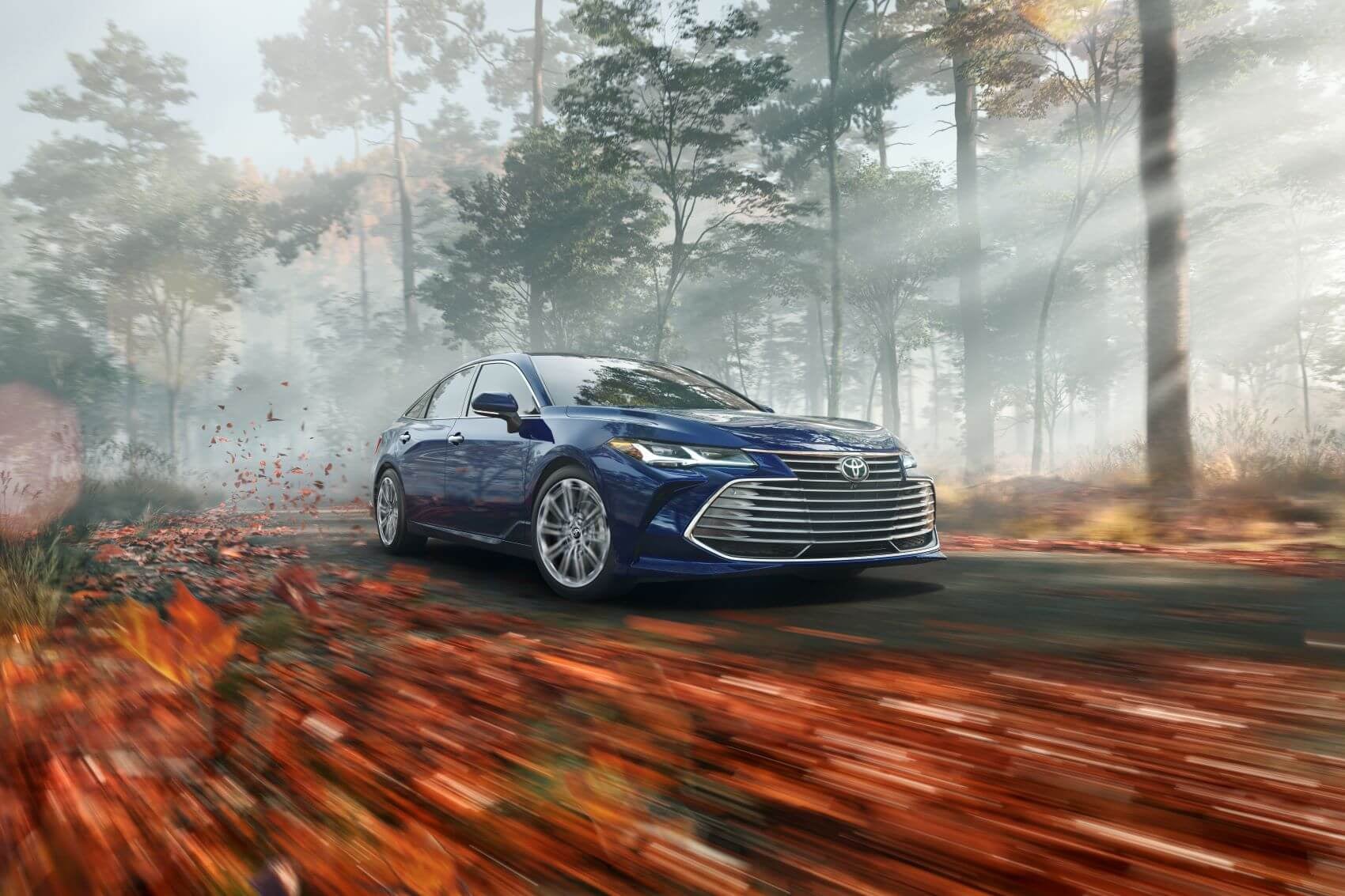 Toyota Avalon driving in the Fall