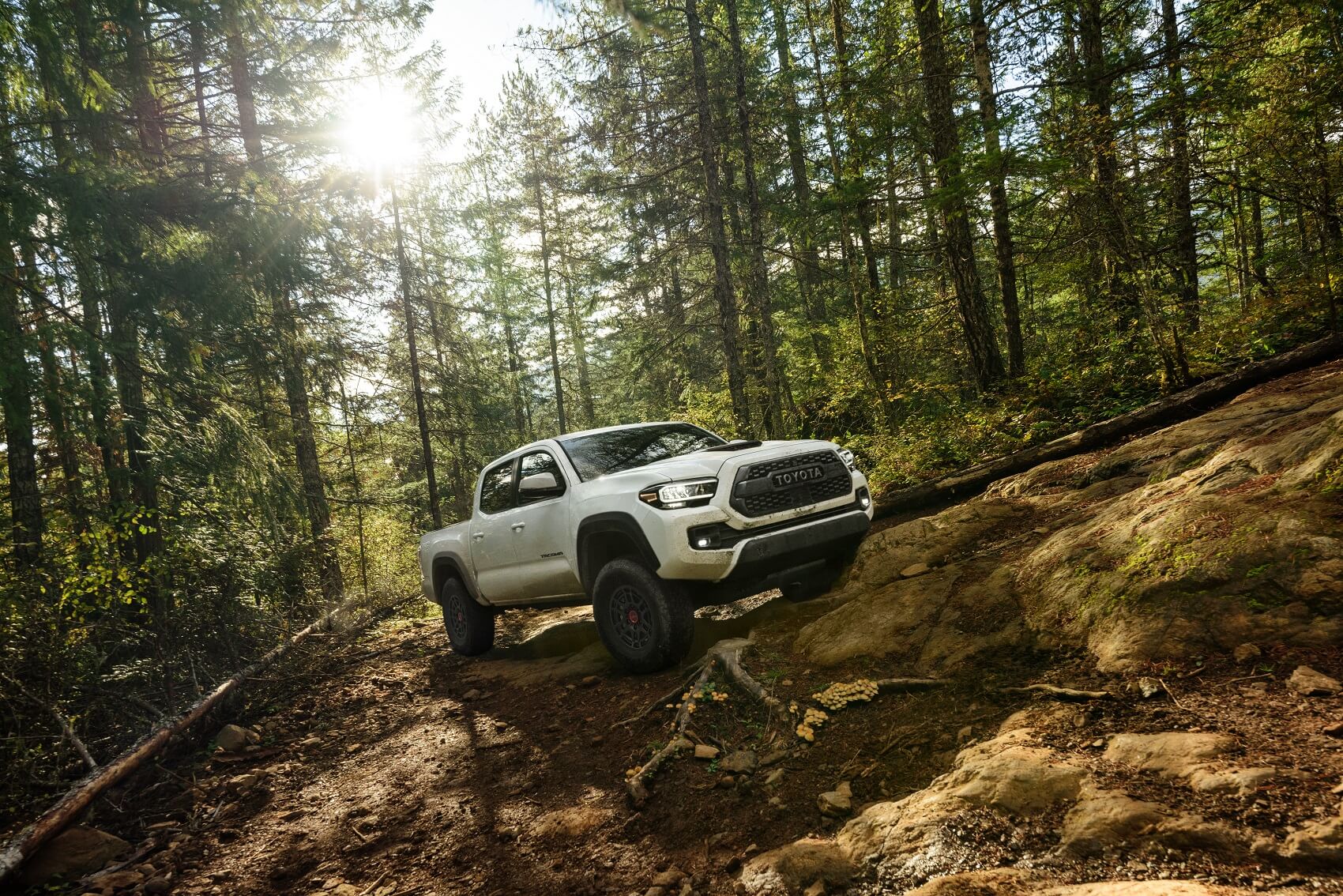 Toyota Tacoma Performance